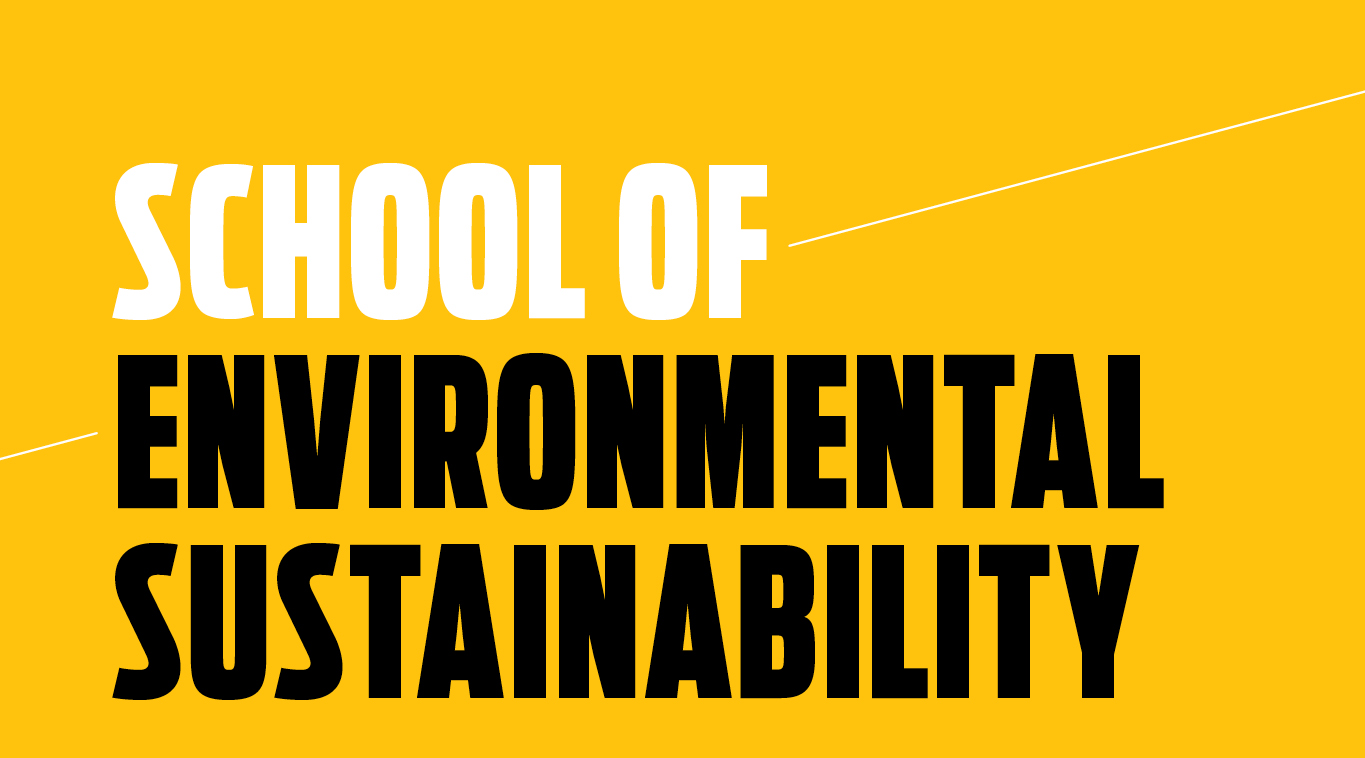 Earn a master's or certificate in environmental science